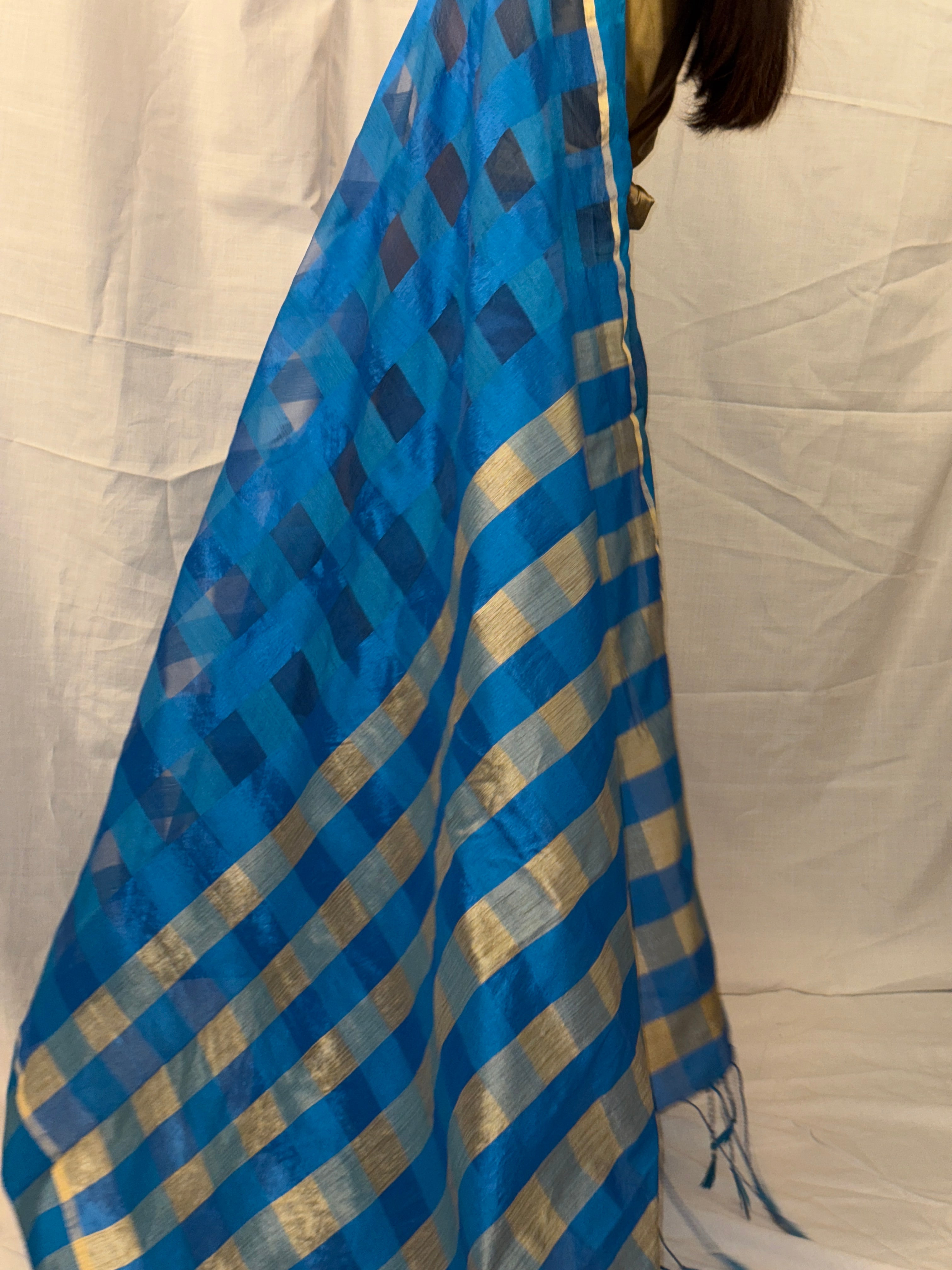 Blue Checked Art Silk Sari with Golden Border