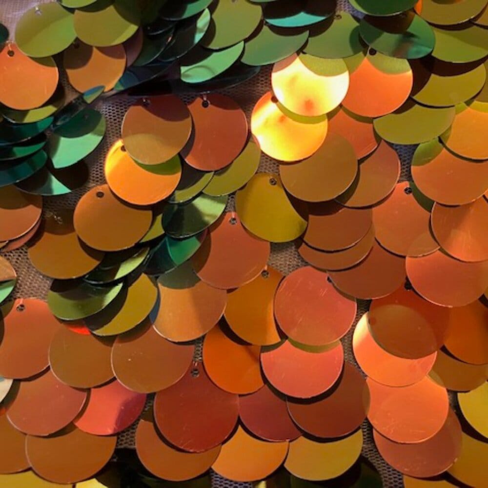 ZARA - Multichrome Sequin Top