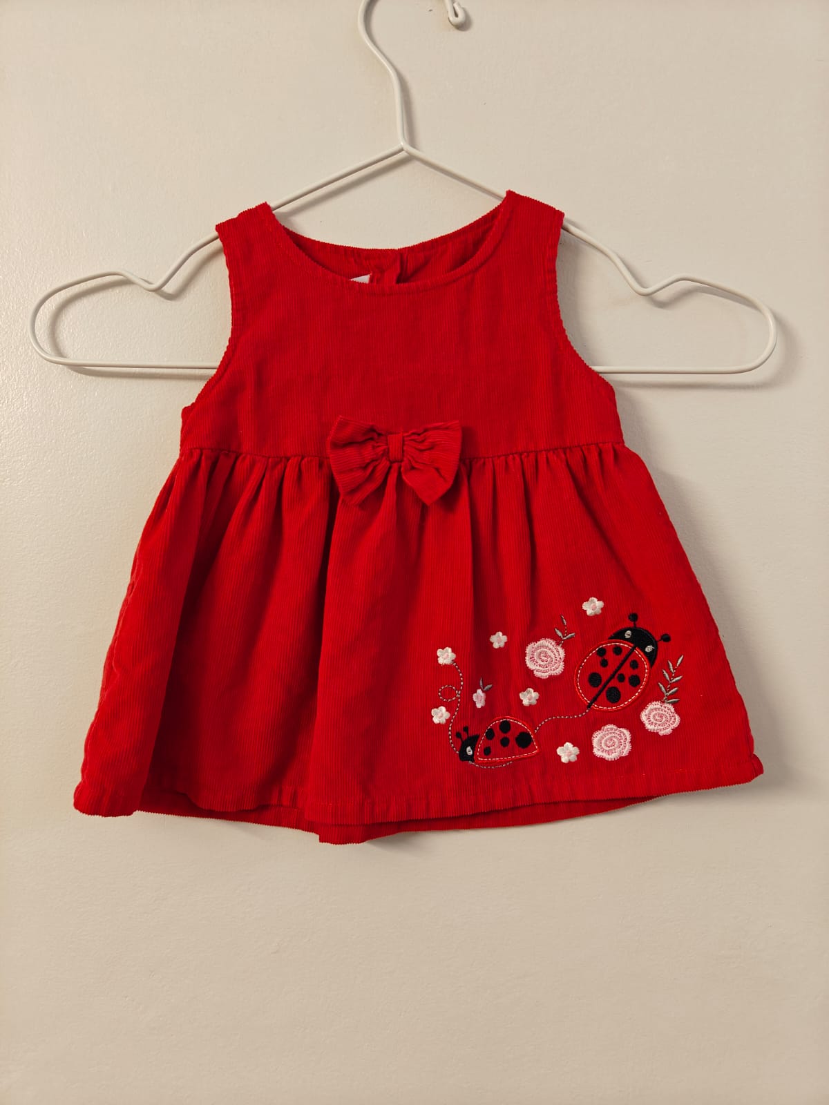 Red Ladybug Dress