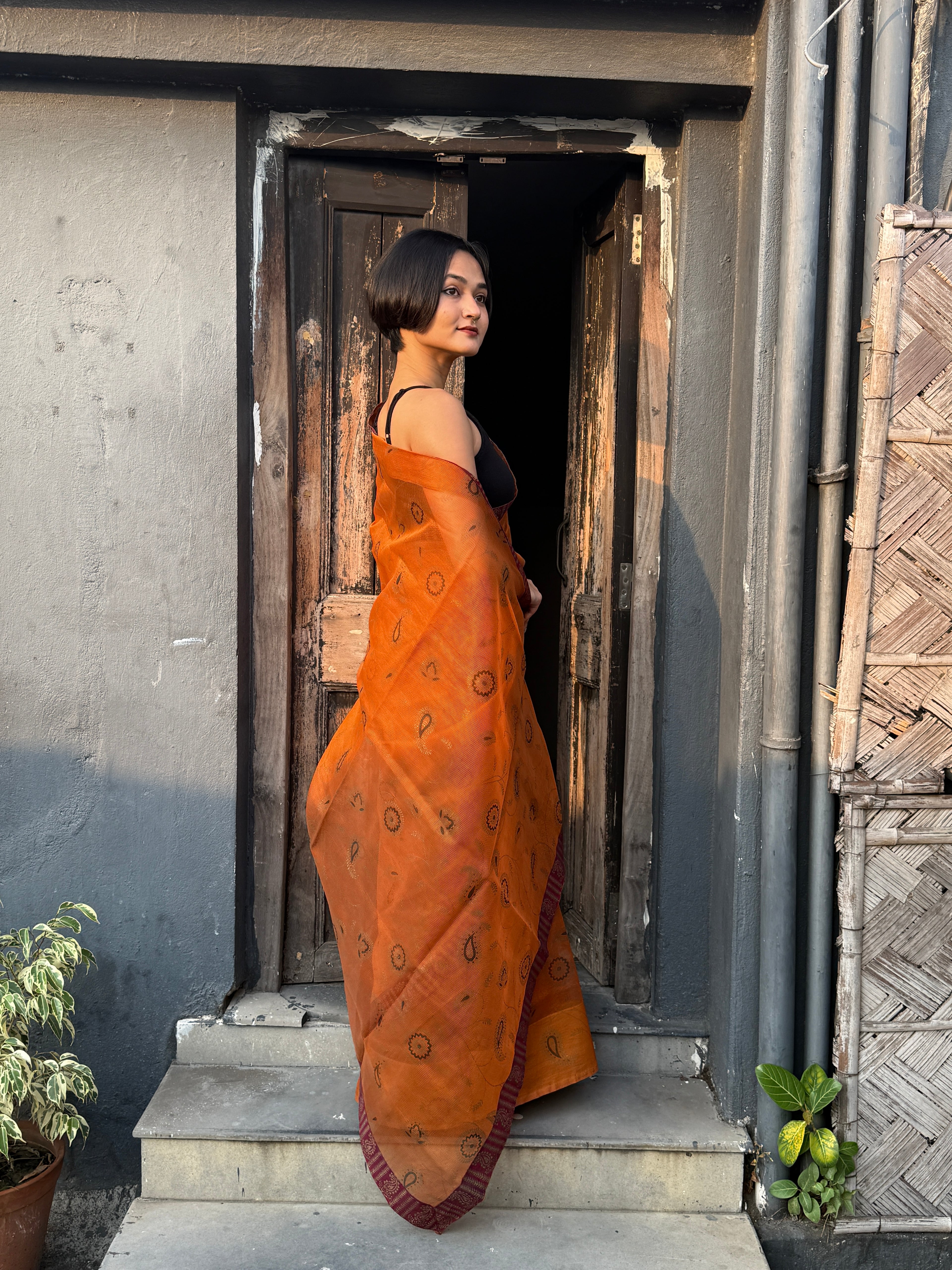 Brown Printed Kota Sari