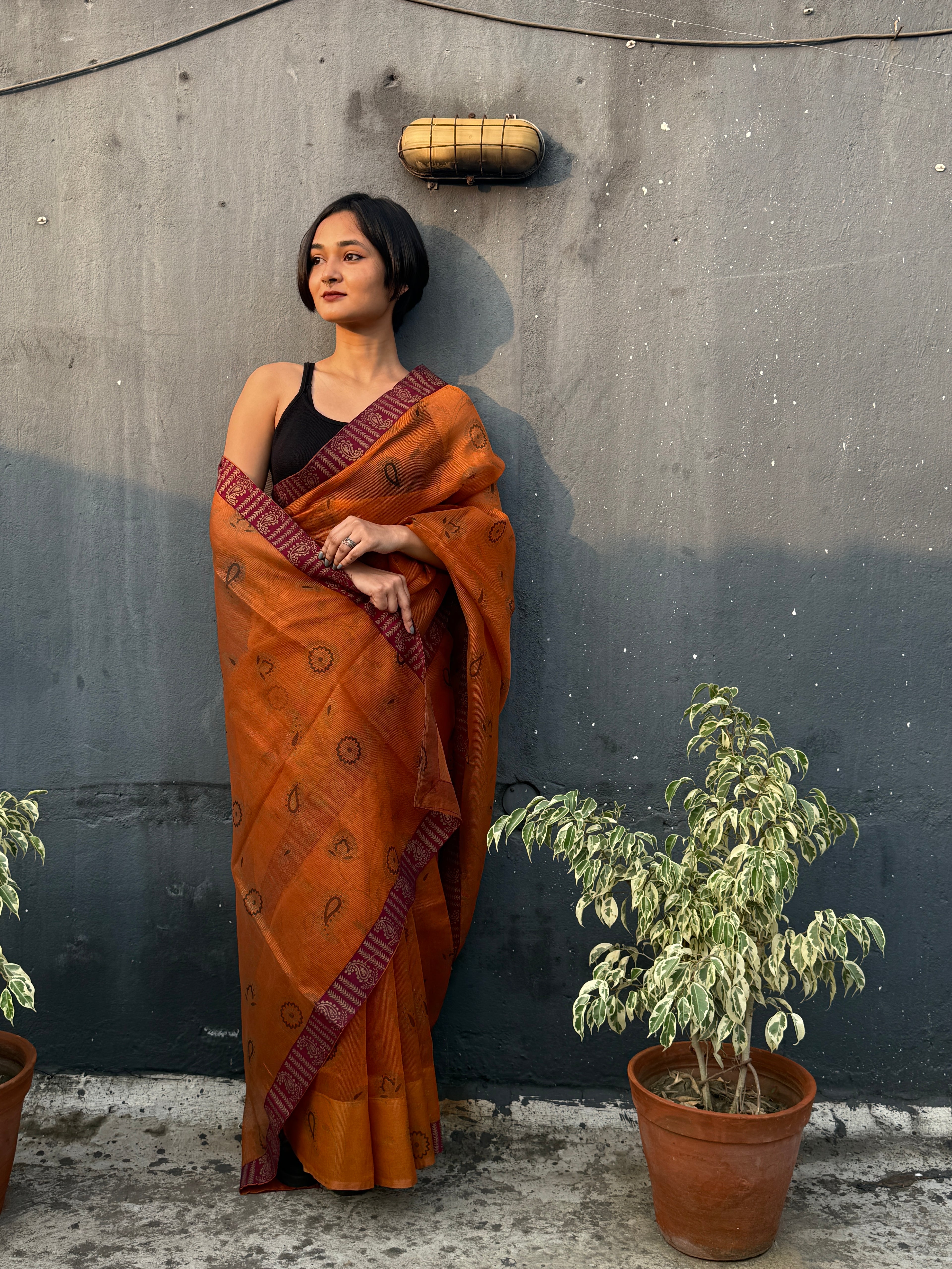 Brown Printed Kota Sari