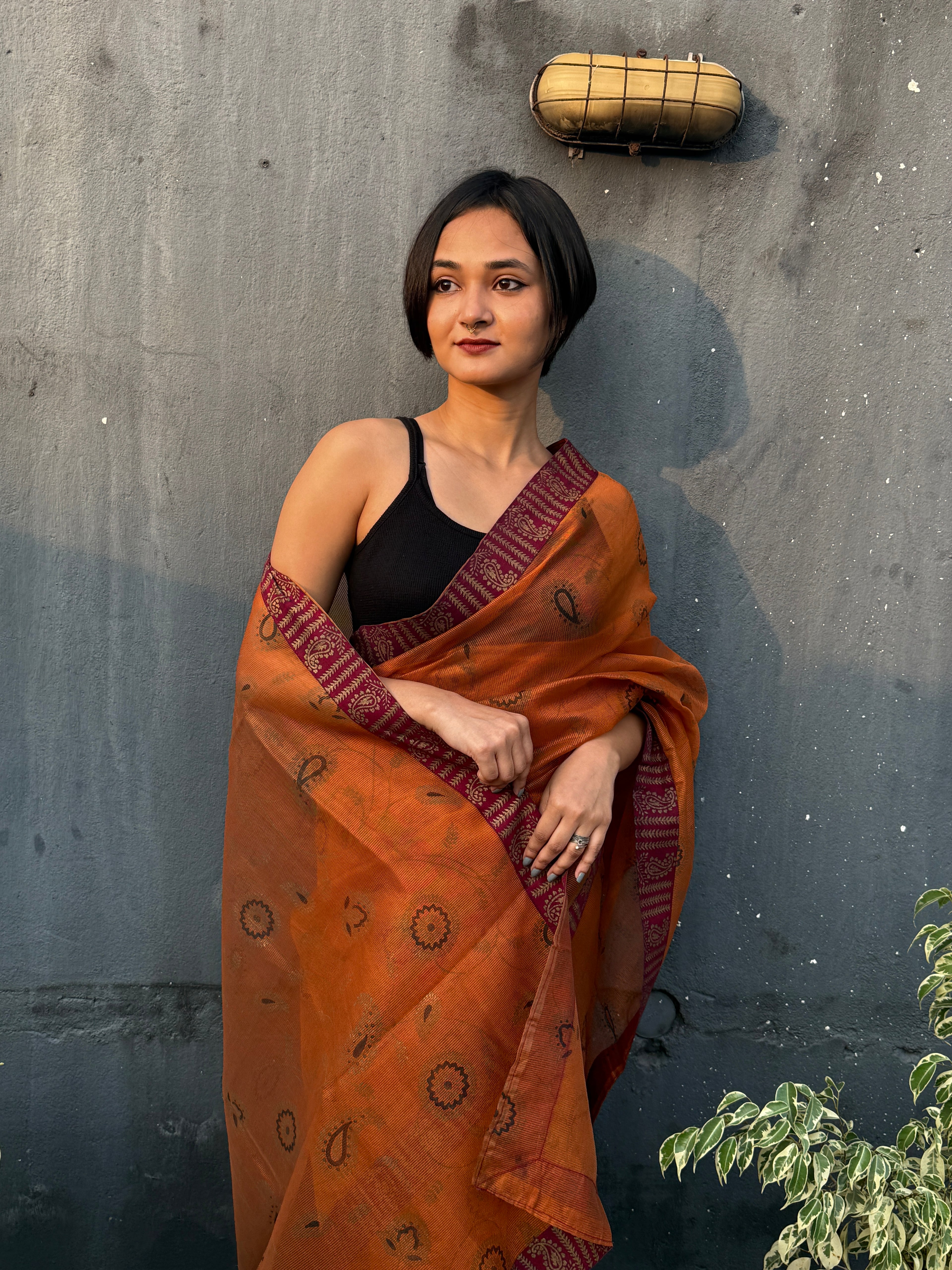 Brown Printed Kota Sari