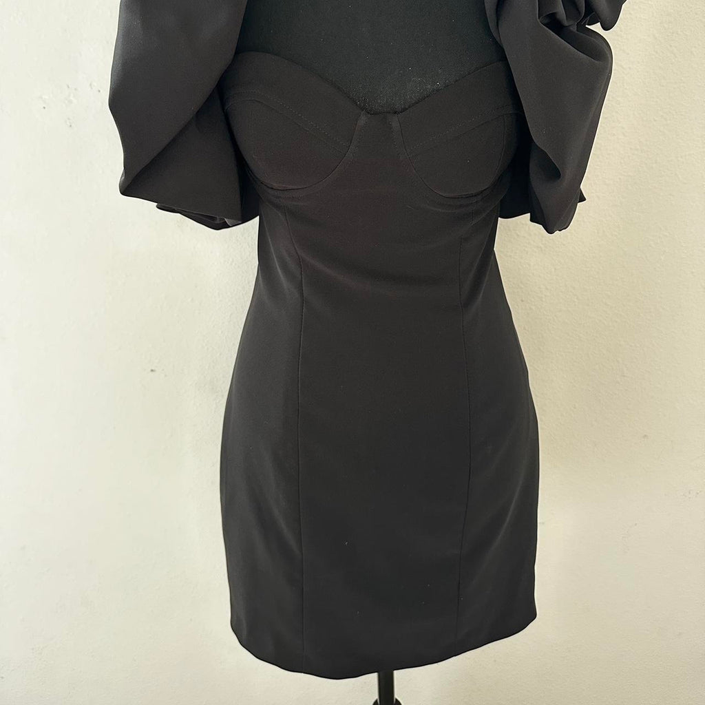 ZARA - Ruffle Sleeve Mini Bodycon Dress